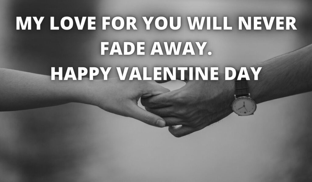Valentine Day Wishes 2023: (14 Feb) Quotes, Status, Messages