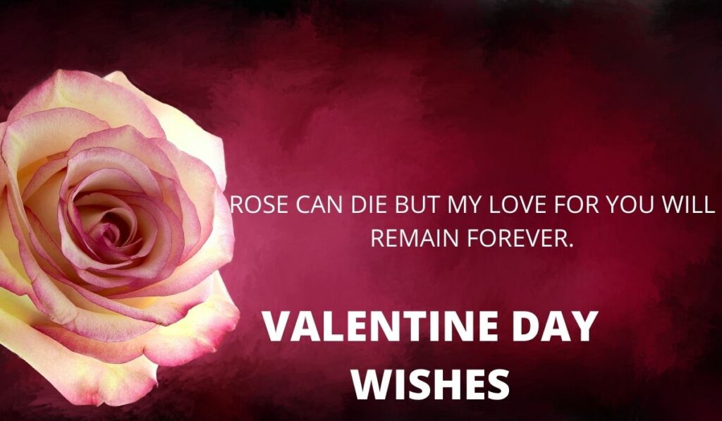 Valentine Day Wishes 2022: (14 Feb) Quotes, Status, Messages