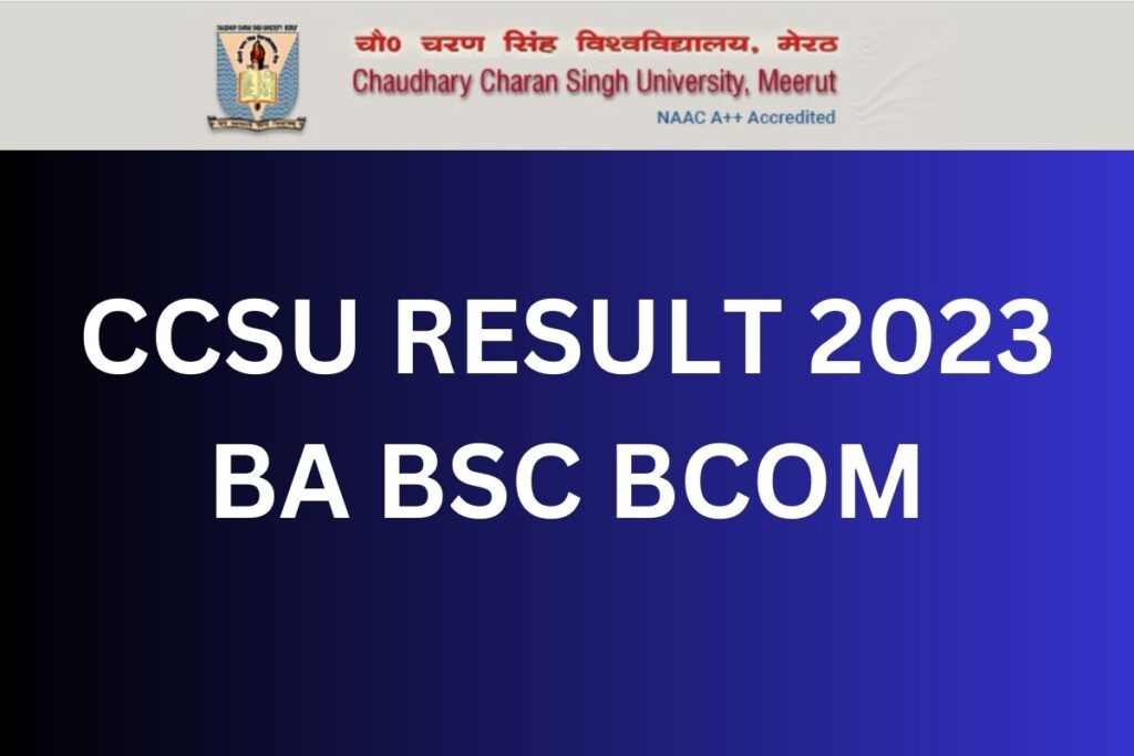 CCSU RESULT 2023 BA BSC BCOM